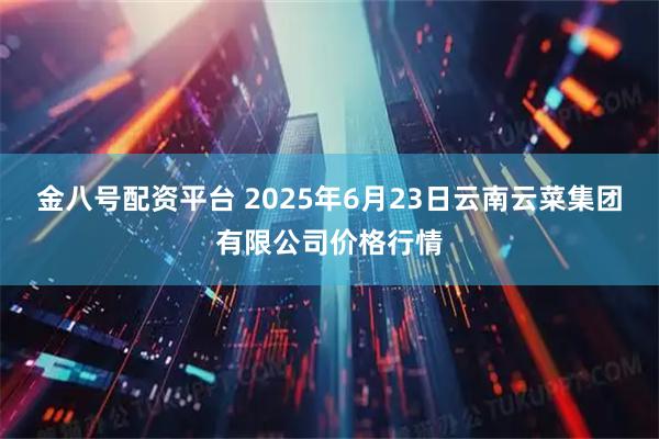 金八号配资平台 2025年6月23日云南云菜集团有限公司价格行情