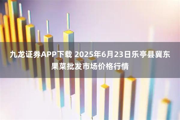 九龙证券APP下载 2025年6月23日乐亭县冀东果菜批发市场价格行情
