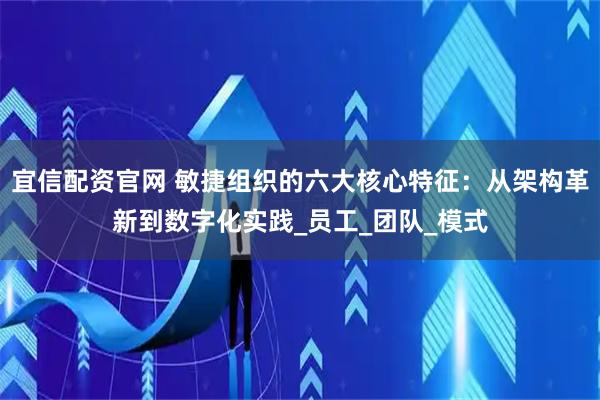 宜信配资官网 敏捷组织的六大核心特征:从架构革新到数字化实践_员工_团队_模式