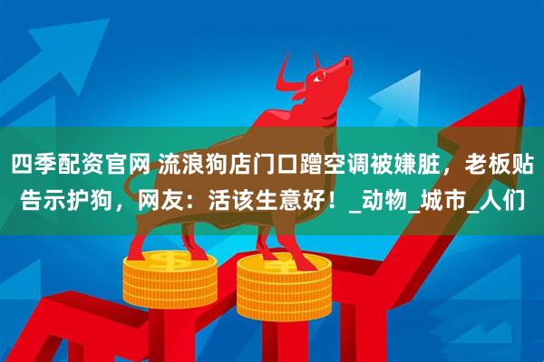 四季配资官网 流浪狗店门口蹭空调被嫌脏,老板贴告示护狗,网友:活该生意好!_动物_城市_人们