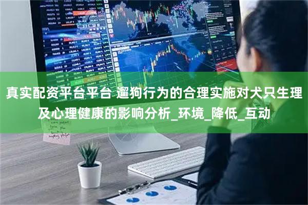 真实配资平台平台 遛狗行为的合理实施对犬只生理及心理健康的影响分析_环境_降低_互动