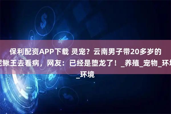 保利配资APP下载 灵宠?云南男子带20多岁的泥鳅王去看病,网友:已经是堕龙了!_养殖_宠物_环境