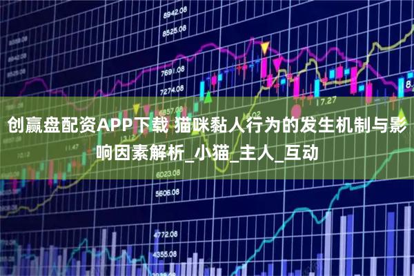 创赢盘配资APP下载 猫咪黏人行为的发生机制与影响因素解析_小猫_主人_互动